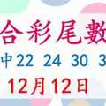 六合彩尾數王 12月12日 上期中22 24 30 35 48 版路預測版本2 準11進12 不斷版