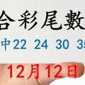 六合彩尾數王 12月12日 上期中22 24 30 35 48 版路預測版本1 準9進10 不斷版