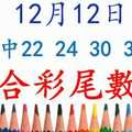 六合彩尾數王 12月12日 上期中22 24 30 35 48 版路預測版本3 準9進10 不斷版