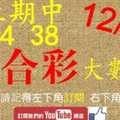 六合彩大數據 12月14日 上期中34 38 4支同開版路