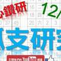 12月16日 六合彩研究院 孤支研究 精心鑽研 版路