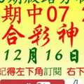 [六合彩神算] 12月16日 上期中07 25 3支 10期版路分析