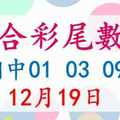 六合彩尾數王 12月19日 上期中01 03 09 28 版路預測版本2 準11進12 不斷版