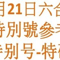 六合12月21日六合彩特別號參考-特别号-特码参考