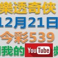 樂透奇俠-12月21日今彩539號碼預測