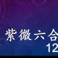 紫微六合彩 12月21日 單號定位,雙號拖牌版路獨家大公開