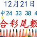 六合彩尾數王 12月21日 上期中24 33 38 44 49 版路預測版本3 準9進10 不斷版