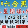 六合彩黑貓(12月28號)六合彩預測版路(第一版)