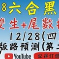 六合彩黑貓(12月28號)六合彩預測版路(第二版)[雙生+尾數]