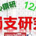 12月28日 六合彩研究院 獨支研究 潛心鑽研 版路