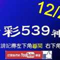 [今彩539神算] 12月29日 5支 單號定位 雙號 拖牌