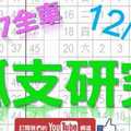 12月30日 六合彩研究院 上期中17獨支全車 孤支研究 精心鑽研 版路