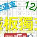 鐵板六合彩 12月30日 上期中23 鐵板獨支 沒有別支 版路