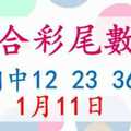 六合彩尾數王 1月11日 上期中12 23 36 49 版路預測版本2 準10進11 不斷版