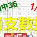 六合彩大數據 1月11日 上期中36 獨支數據 雲端精算 版路