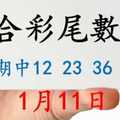 六合彩尾數王 1月11日 上期中12 23 36 49 版路預測版本1 準16進17 不斷版