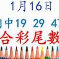 六合彩尾數王 1月16日 上期中12 23 36 49 版路預測版本3 準10進11 不斷版