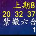 紫微六合彩 1月25日 上期8中5 四星03 20 32 37 特44 單號定位,雙號拖牌版路獨家大公開