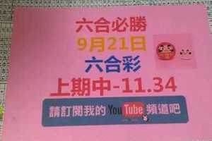 六合必勝-9月21日六合彩號碼預測1版