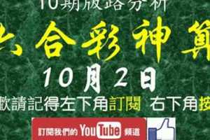 [六合彩神算] 10月2日 2支 10期版路分析