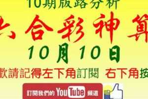 [六合彩神算] 10月10日 獨支 10期版路分析