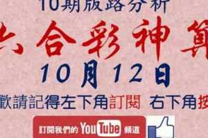 [六合彩神算] 10月12日 獨支 10期版路分析