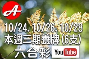 2017/10/24.10/26.10/28 六合彩 mark six：本週三期可能開出的號碼