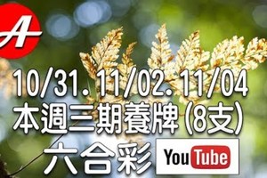 2017/10/31,11/02,11/04 六合 mark six：本週可參考的規律和號碼