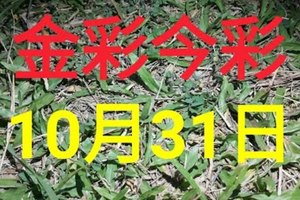 $金彩今彩$ 今彩539--10月31日加減版路號碼大公開