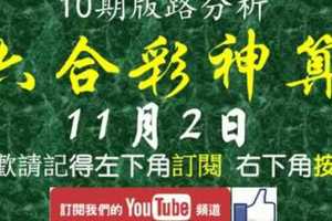 [六合彩神算] 11月2日 2支 10期版路分析