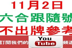 六合跟隨號-11月2日六合彩不出牌參考