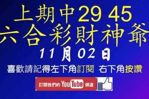 六合彩財神爺 11月2日 上期中29 45 拚2星獨碰連莊 版路