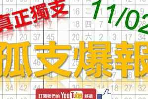 11月02日 六合彩爆報 孤支爆報 真正獨支 版路