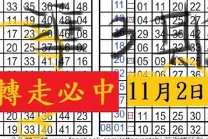 11月2日六合 漂亮獨支 一枚 轉走必中