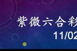 紫微六合彩 11月02日 雙獨支版路 雙號拖牌 準6進7