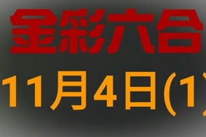 ◆金彩六合◆六合彩 11月4日連開孤支版路 （1）