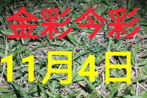 $金彩今彩$ 今彩539--11月4日加減版路號碼大公開