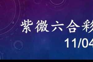 紫微六合彩 11月04日 定位合值差值 獨碰版路 準5進6