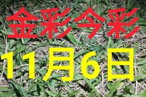 $金彩今彩$ 今彩539--11月6日加減版路號碼大公開