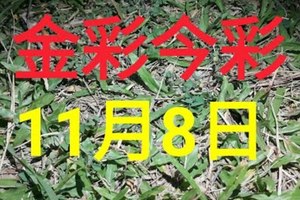 $金彩今彩$ 今彩539--11月8日加減版路號碼大公開