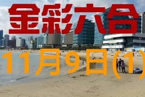 ◆金彩六合◆六合彩 11月9日加減連開孤支版路 （1）