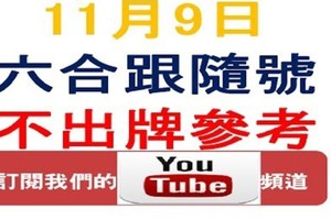 六合跟隨號-11月9日六合彩不出牌參考