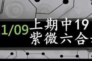 紫微六合彩 11月09日 上期中19 定位差值版路 準5進6不斷版