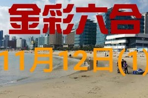 ◆金彩六合◆六合彩 11月12日加減連開孤支版路 （1）