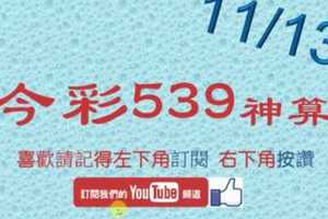 [今彩539神算] 11月13日 5支 單號定位 雙號 拖牌