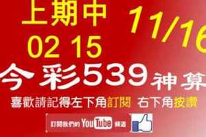 [今彩539神算] 11月16日 上期中02 15 5支 單號定位 雙號 拖牌