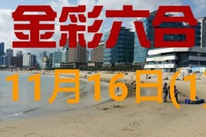 ◆金彩六合◆六合彩 11月16日加減連開孤支版路 （1）