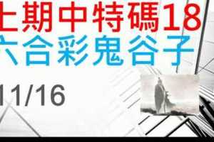 六合彩鬼谷子 11月16日 上期中特別號18 3支 特別號 特码 版本2