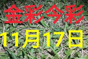 $金彩今彩$ 今彩539--11月17日加減版路號碼大公開