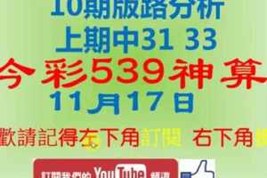 [今彩539神算] 11月17日 上期中31 33 獨支 10期版路分析